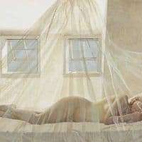 Andrew Wyeth, Day Dream hand painted reproduction