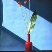 Claude Di Placido Mapplethorpe 1946-1989 Hand Painted Reproduction