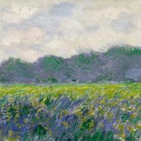 Claude Monet Field Of Yellow Irises Hand Painted Reproduction