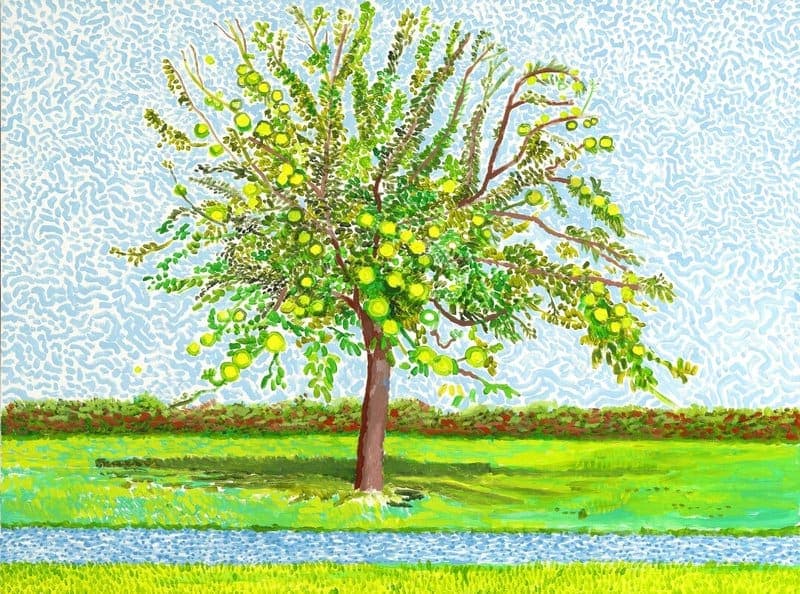David Hockney Apple Tree Hand Painted Reproduction museum quality