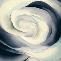 Georgia O Keeffe Abstraction White Rose 1927 Hand Painted Reproduction