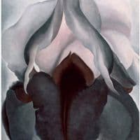 Georgia O Keeffe Black Iris 1926 Hand Painted Reproduction