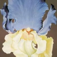 Lowell Nesbitt Yellow And Blue Iris 1973 Hand Painted Reproduction