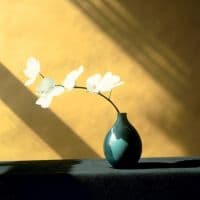 Mapplethorpe Orchid E 1946-1989 Hand Painted Reproduction