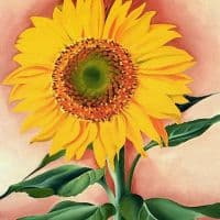 O Keeffe A Sunflower From Maggie - 1937 Hand Painted Reproduction