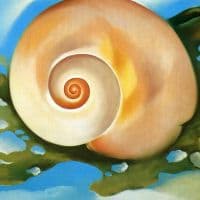 O Keeffe Pink Shell With Seaweed Hand Painted Reproduction