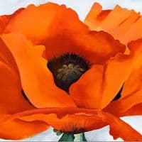O Keeffe Red Poppy - 1927 Hand Painted Reproduction