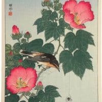 Ohara Koson Fly-catcher On Rose Mallow Watching Spider C.1932 Hand Painted Reproduction
