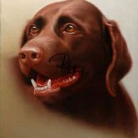 Portrait Painting Of Brown Dog Hand Painted
