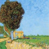 Van Gogh A Lane Near Arles Hand Painted Reproduction