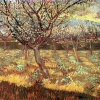 Van Gogh Apricot Trees In Blossom2 Hand Painted Reproduction