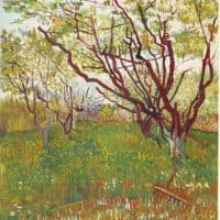 Van Gogh Cherry Tree Hand Painted Reproduction
