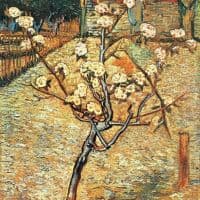 Van Gogh Flowering Pear Hand Painted Reproduction