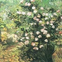 Van Gogh Flowering Rosebush Hand Painted Reproduction