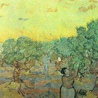 Van Gogh Olive Pickers In A Grove Hand Painted Reproduction