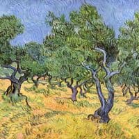 Van Gogh Olive Trees Hand Painted Reproduction