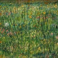 Van Gogh Patch Of Grass Hand Painted Reproduction