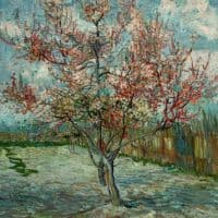 Van Gogh Pink Peach Trees Souvenir De Mauve Hand Painted Reproduction