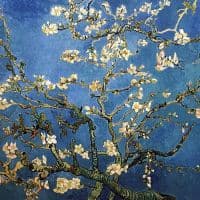 Vincent Van Gogh Almond Blossoms - Dark Blue Hand Painted Reproduction