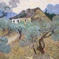 Vincent Van Gogh Farmhouse Among Olive Trees 1889 Hand Painted Reproduction