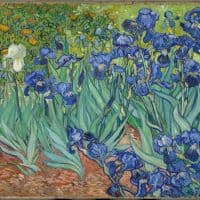 Vincent Van Gogh Irisese Hand Painted Reproduction