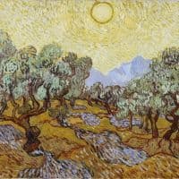 Vincent Van Gogh Olive Tress 1889 Hand Painted Reproduction
