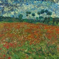 Vincent Van Gogh Poppy Field Hand Painted Reproduction