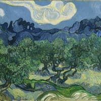 Vincent Van Gogh The Olive Trees At Saint Remy Hand Painted Reproduction