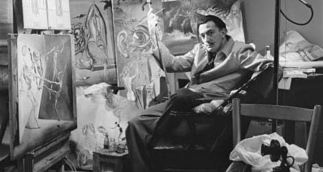 Buy Salvador Dali superb reproductions hand-painted on canvas with oil painting, rivaling with the master quality. Choose between dozens of artwork.