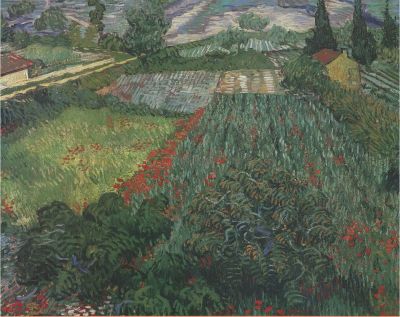 art oil painting reproduction of  Van Gogh, Field with Poppies aka Champ de coquelicots museum quality handmade