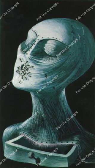 dali-ant-face