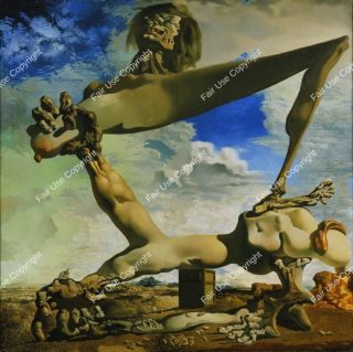 dali-soft-construction-with-boiled-beans