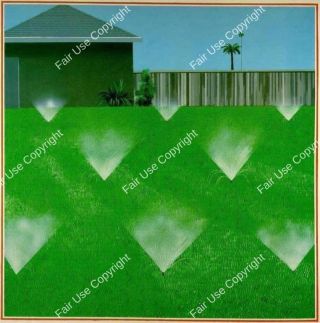 david-hockney-a-lawn-being-sprinkled