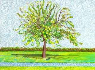 david-hockney-apple-tree