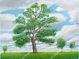 hockney-no-276-arrivee-printemps