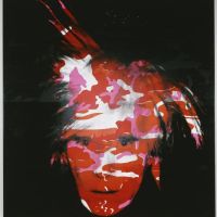 Andy Warhol Camouflage - Rouge