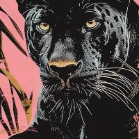 Animal 003