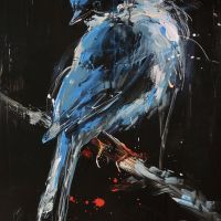 Animal 005