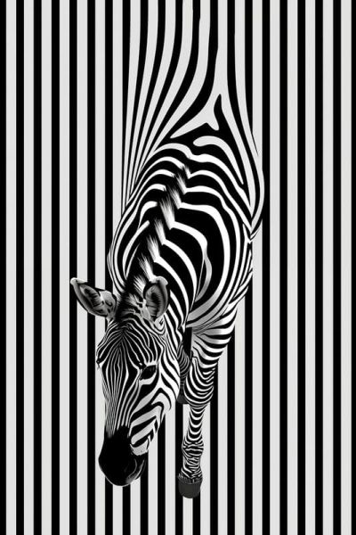 art oil painting reproduction of  Animal 008 museum quality handmade
