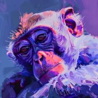 Animal 029