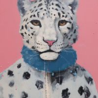 Animal 047