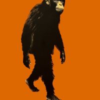 Animal 048