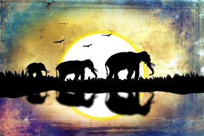 art oil painting reproduction of  Animal 073 museum quality handmade