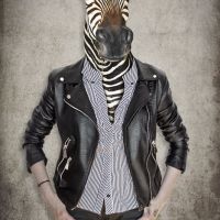 Animal 086