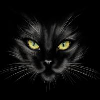Animal 103