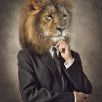 Animal 111