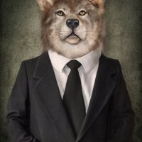 Animal 116