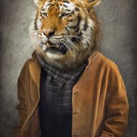 Animal 124