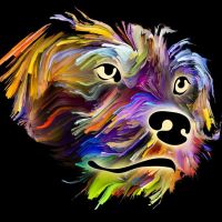 Animal 125