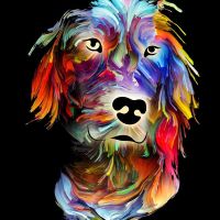 Animal 126